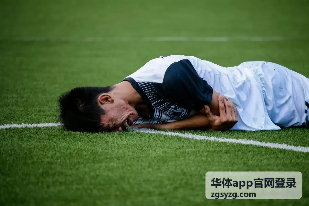 华体app官网登录安全帮助与常见问题合集封面