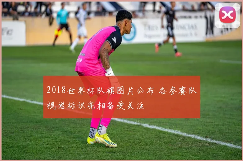 2018世界杯队旗图片公布 各参赛队视觉标识亮相备受关注