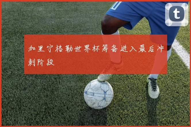 加里宁格勒世界杯筹备进入最后冲刺阶段